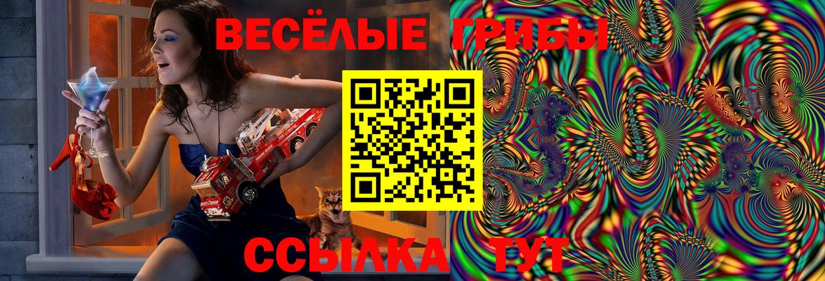 Галлюциногенные грибы Psilocybine cubensis Каменск-Уральский