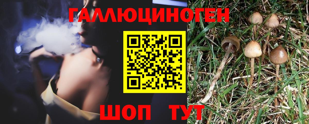 Галлюциногенные грибы ЛСД  Вход с VPN  Псилоцибиновые грибы мицелий  купить  сайты  Каменск-Уральский 